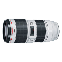 Canon 70-200mm f/2.8L IS II