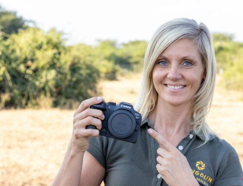 Canon EOS R7 for wildlife photography