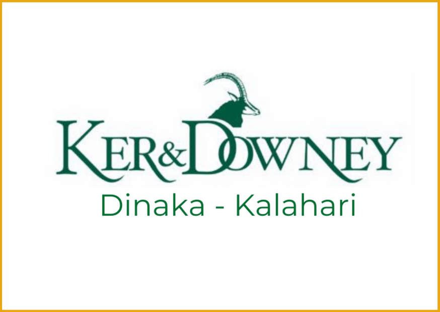 1 dinaka logo