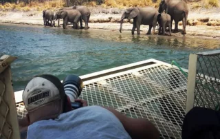 photographing elephants on the zambezi