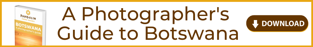 A photographers guide to Botswana e-book download link