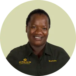 Bonolo - Pangolin Photo Safaris Staff