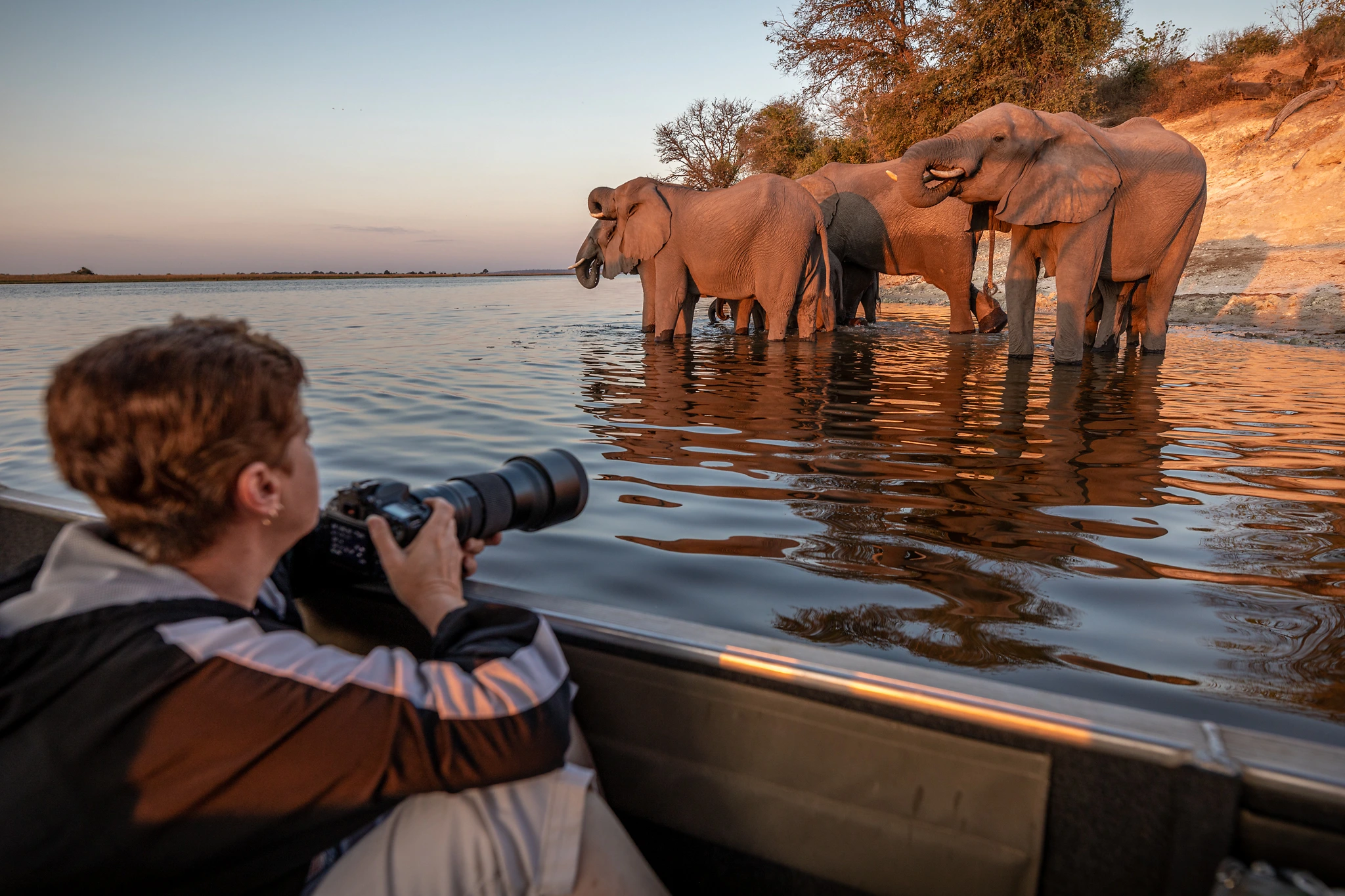 Pangolin photo safaris guest on the Chobe river in Botswana