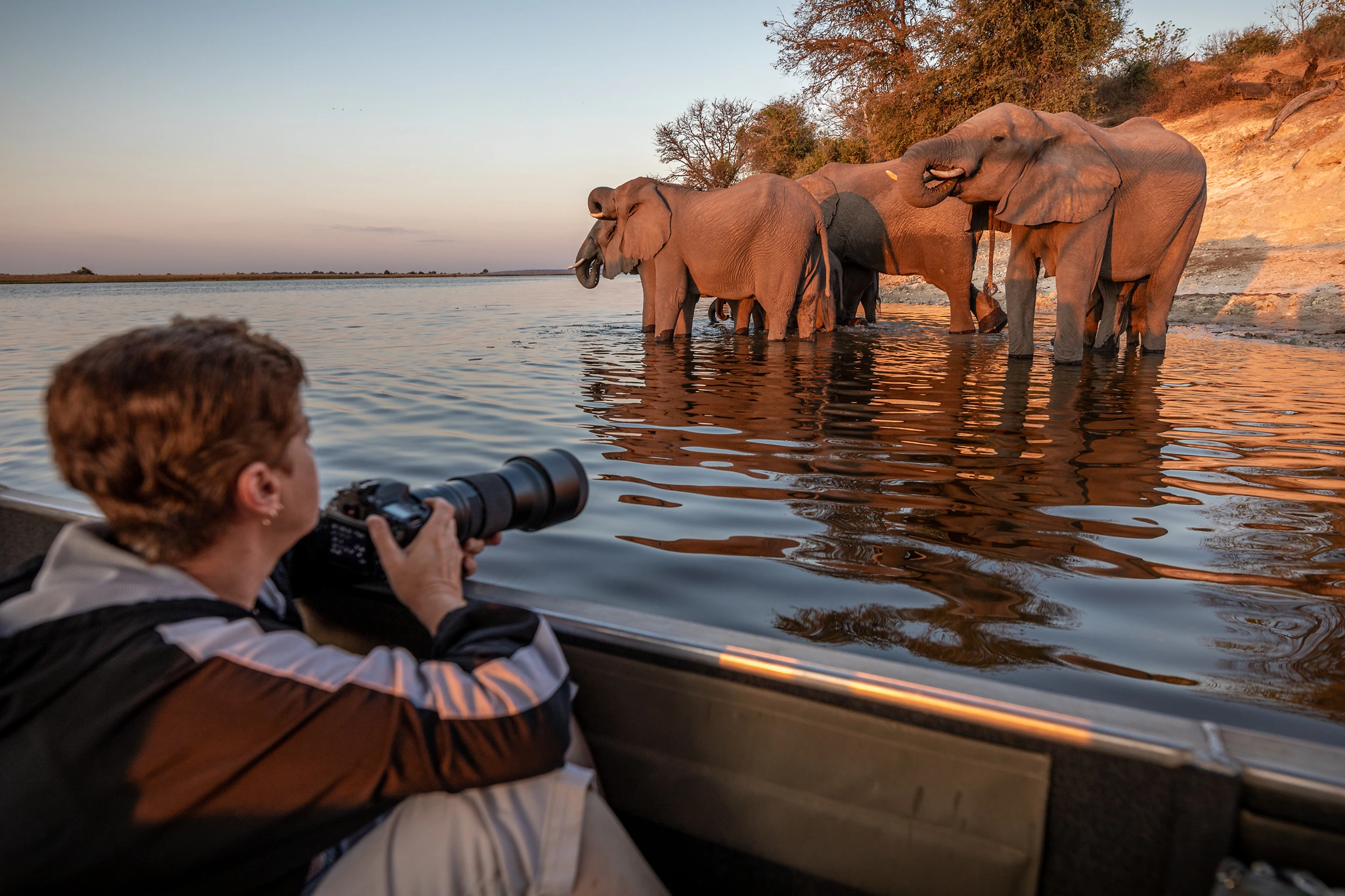 pangolin photo safaris guest photographing elephants on the chobe river Pangolin photo safaris guest on the Chobe river in Botswana