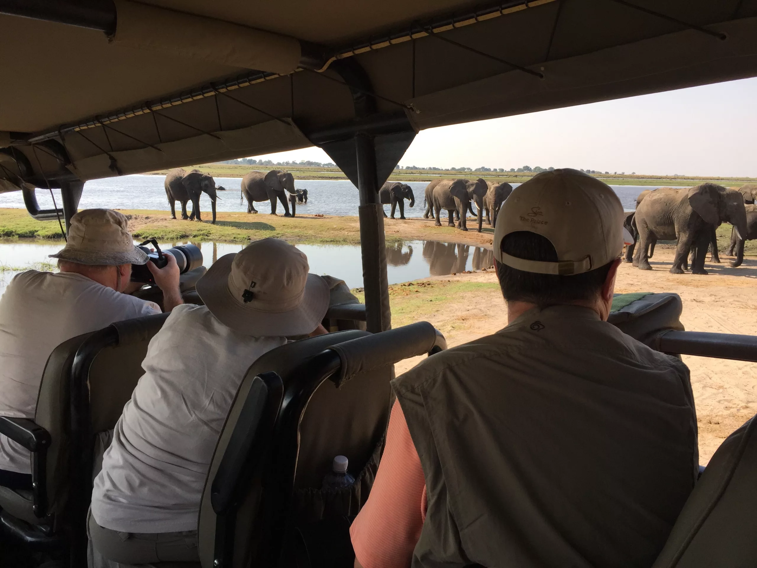 Chobe National park photography safari Pangolin photo safaris on game drive in Chobe National Park Botswana