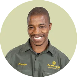 Phenyo Phenyo - Pangolin Photo Safaris Staff
