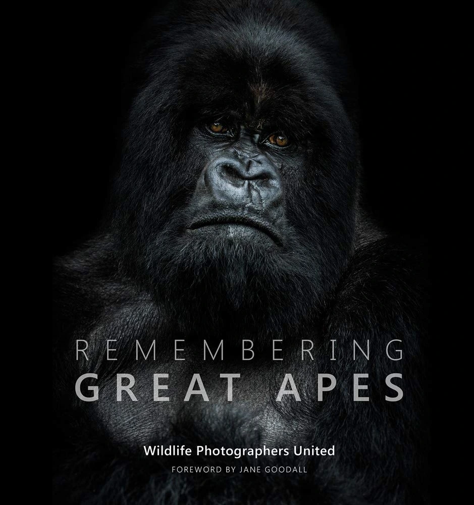 Remembering great apes by wildlife photographers united