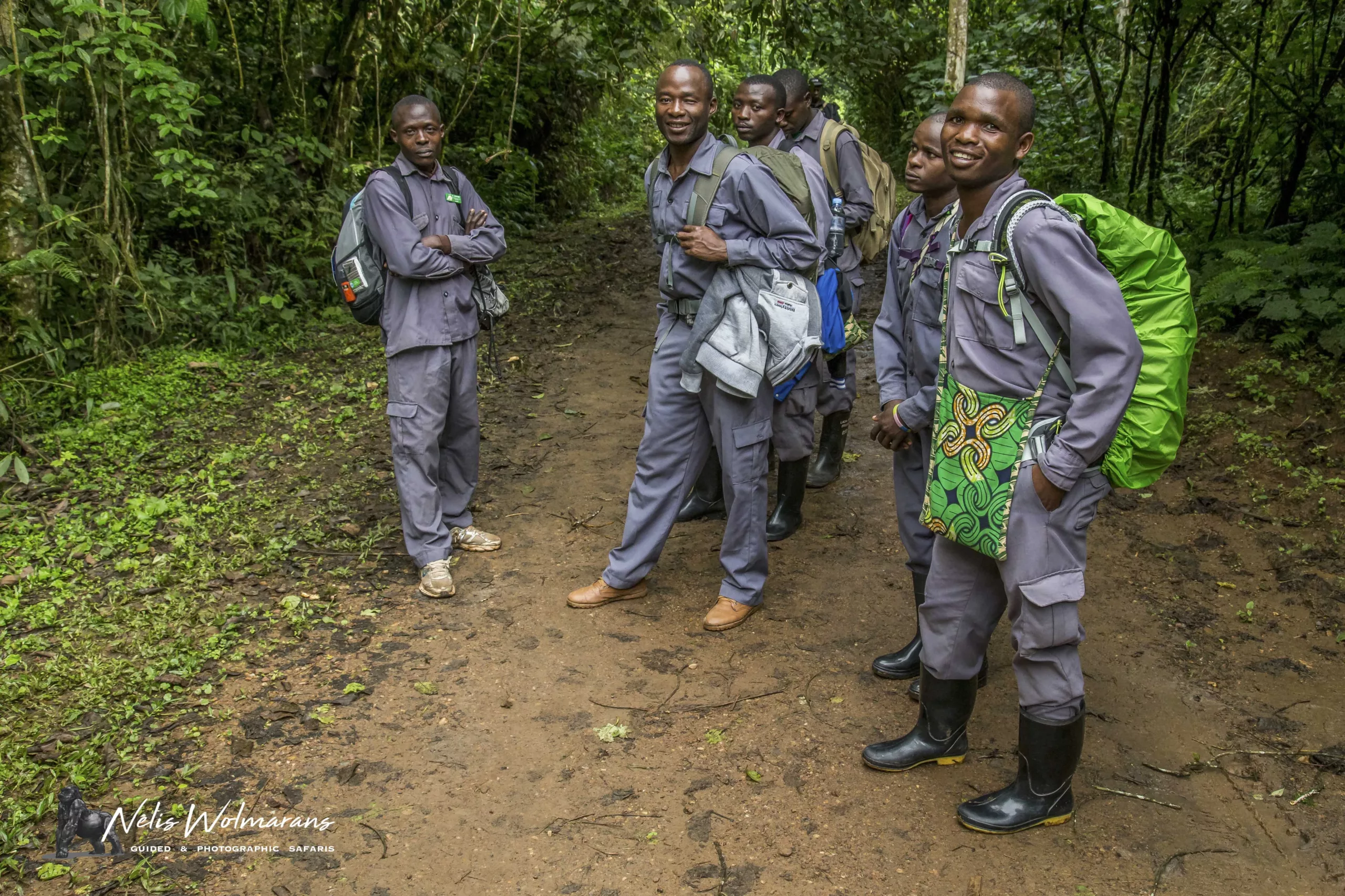 Uganda Gorilla Trekking Photo Safari Tour Guides Uganda primate safari nelis wolmarans x pangolin gorilla Porters