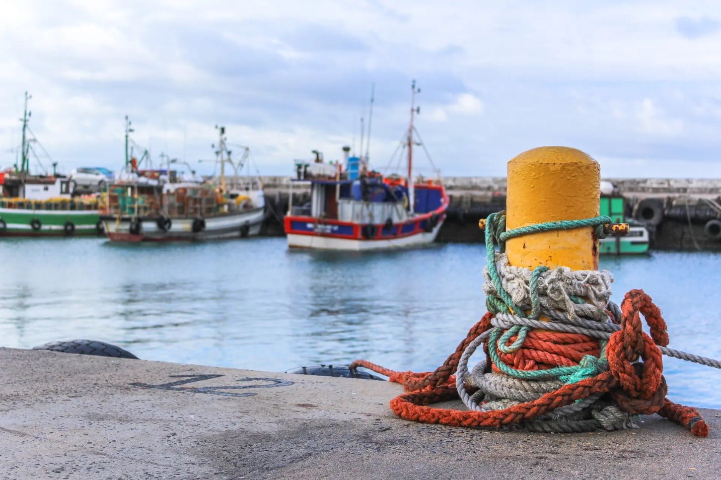 kalk bay harbour cape town