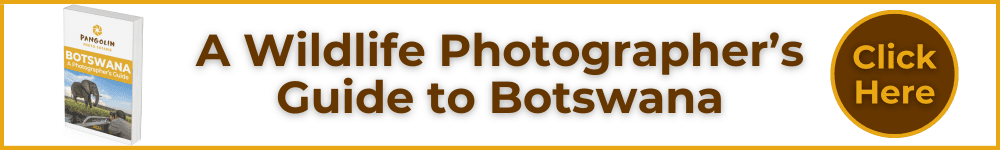 A photographers guide to Botswana e-book download link
