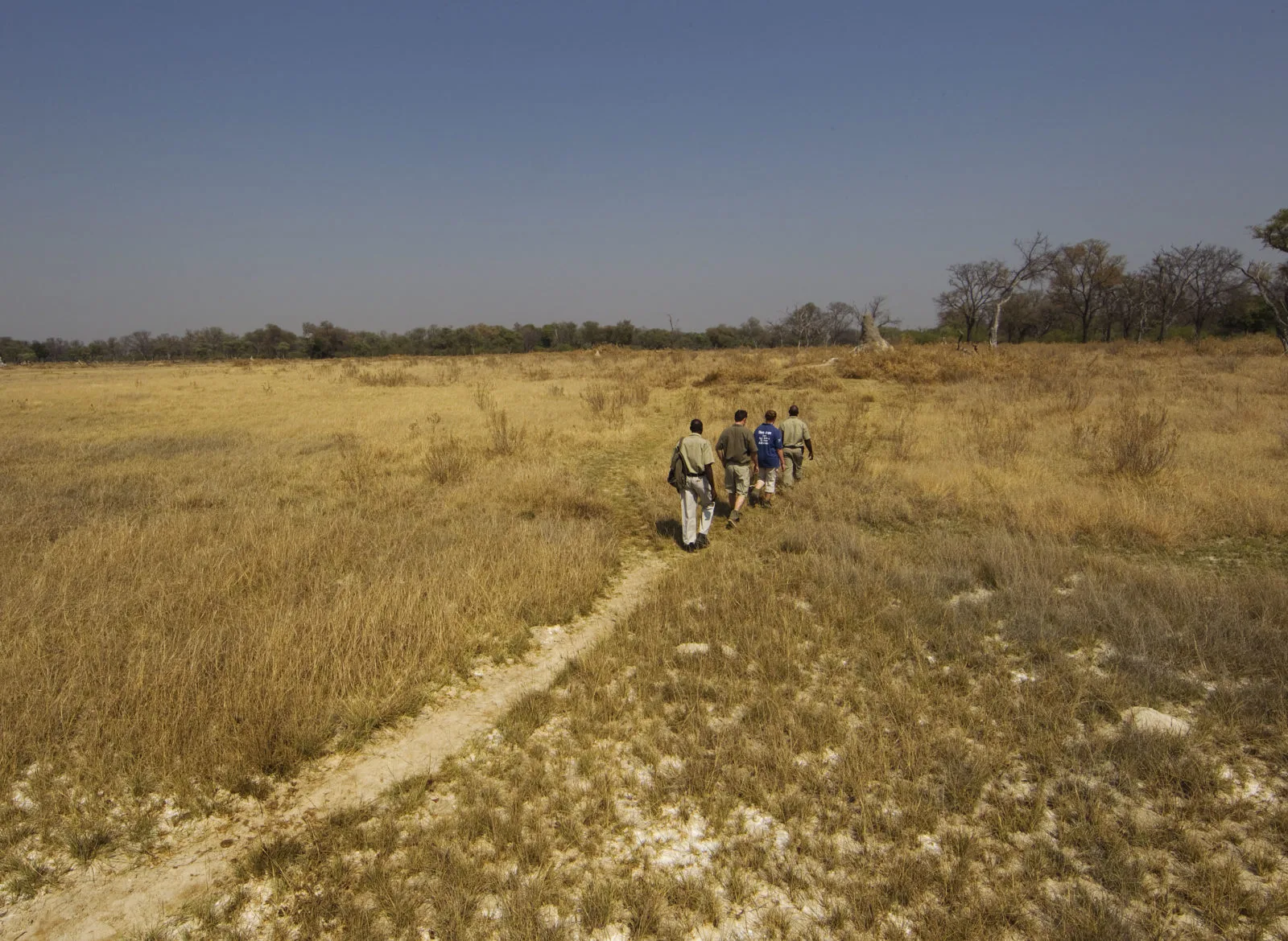 Okavango delta walking safaris