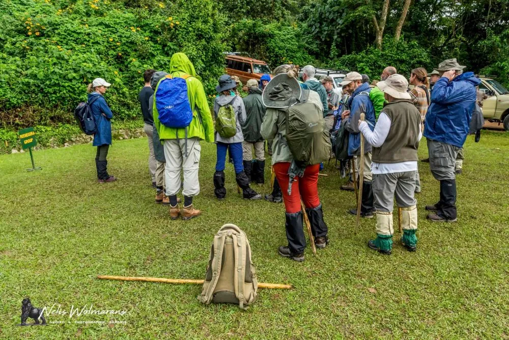 Uganda primate safari nelis wolmarans x pangolin the trek