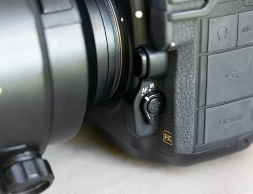 Nikon Autofocus modes and settings