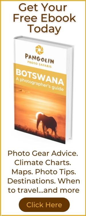 Botswana Photo Safari Free e-book