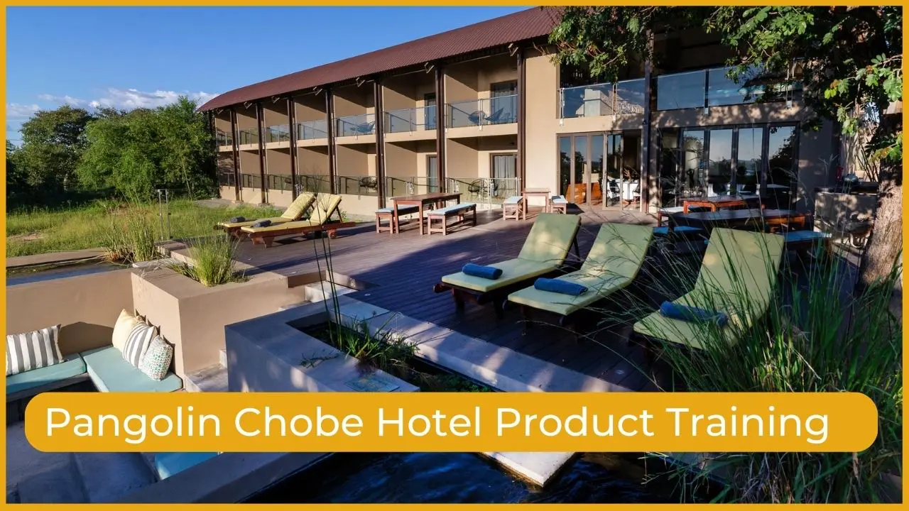 pangolin chobe hotel training thumbnail