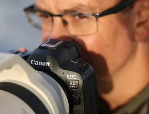 Canon R6 Mark II for wildlife photography