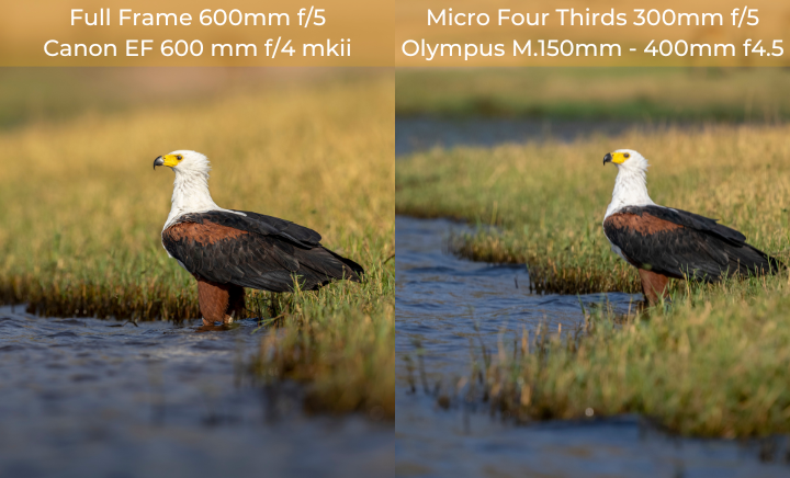 lens magnification full frame vs micro four thirds
