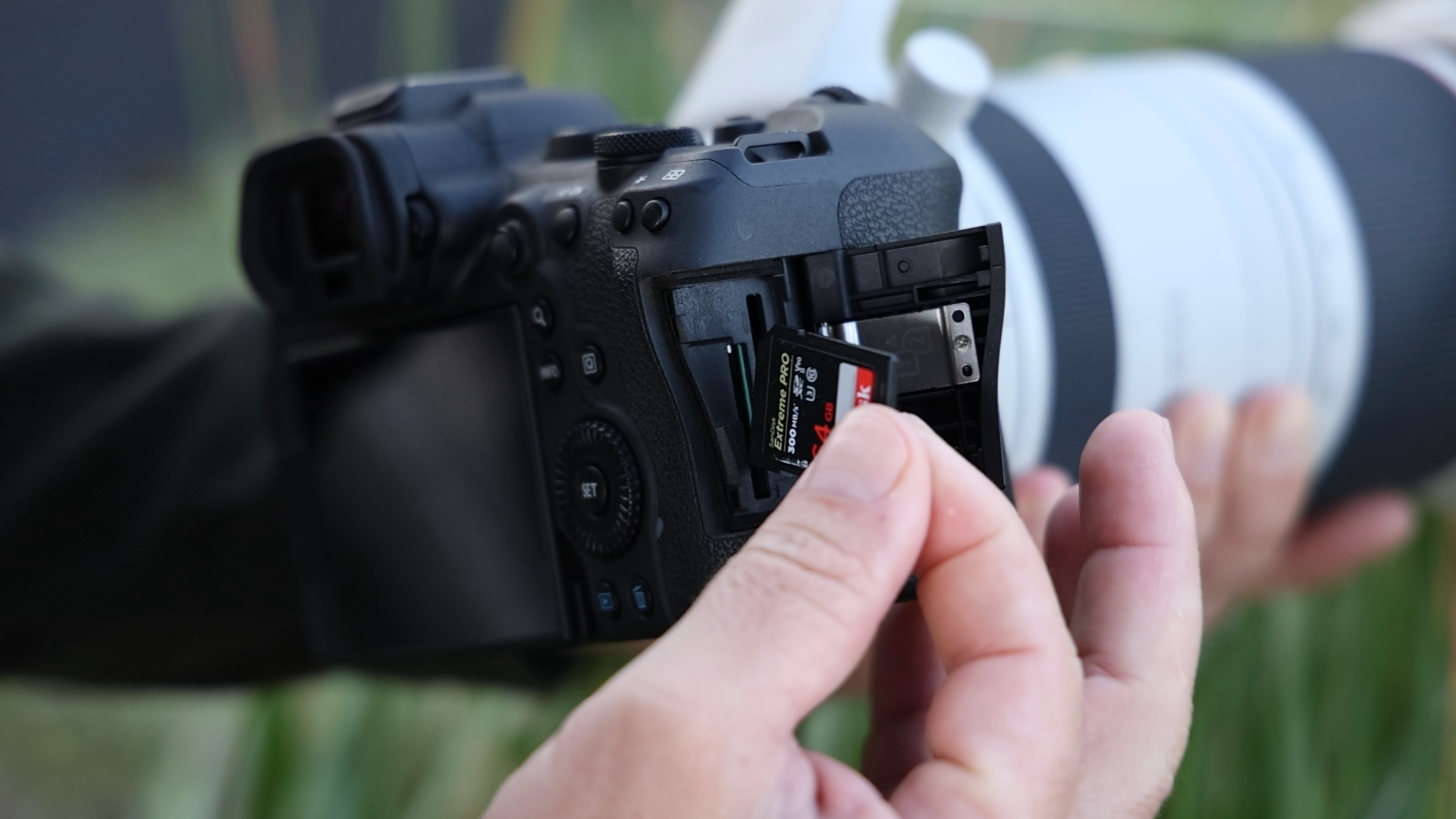 Canon R6 MII Card Slots