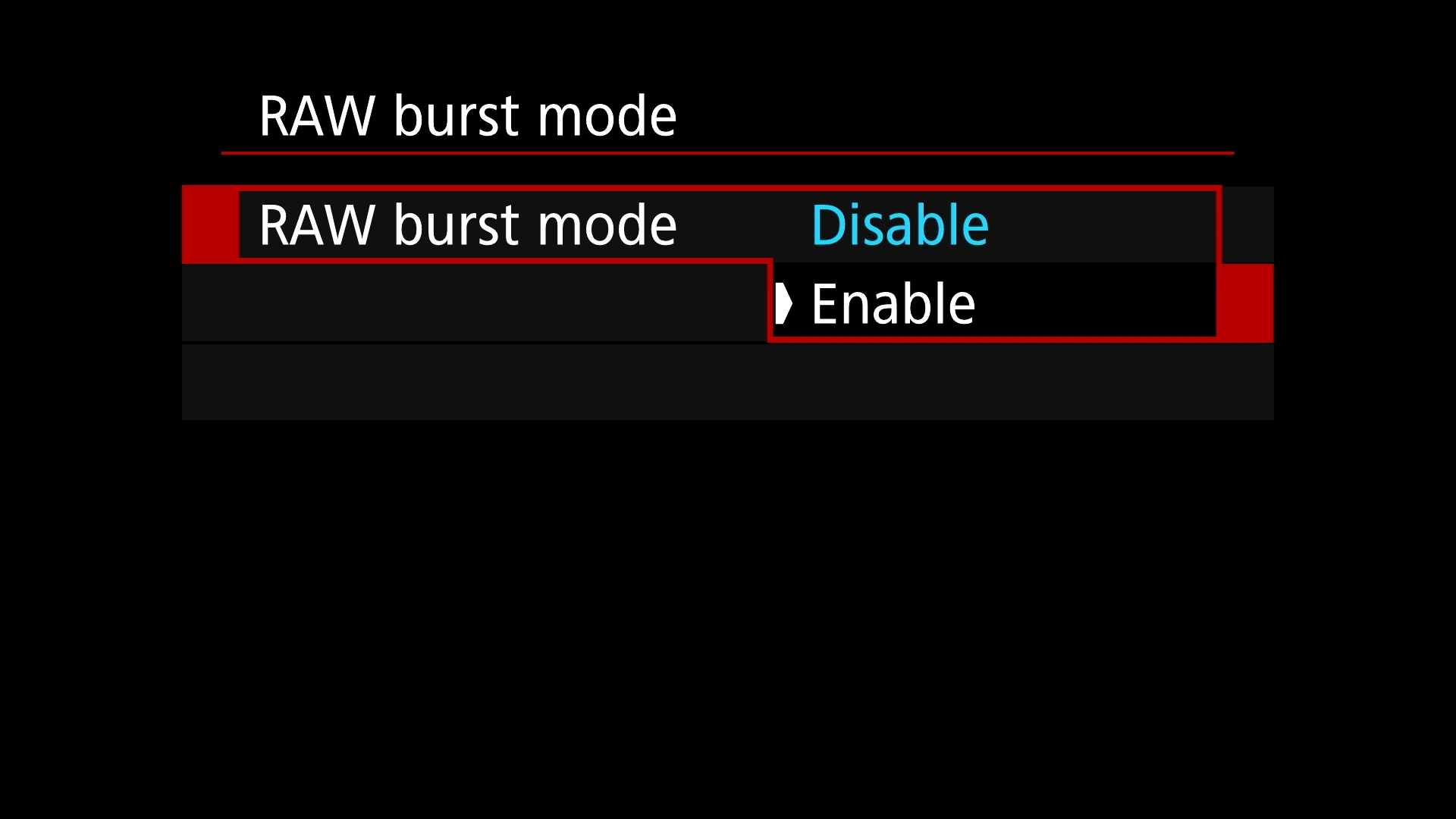 Canon EOS R6 MII - RAW burst mode