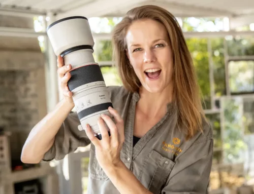 Canon RF 100-500mm Lens Review