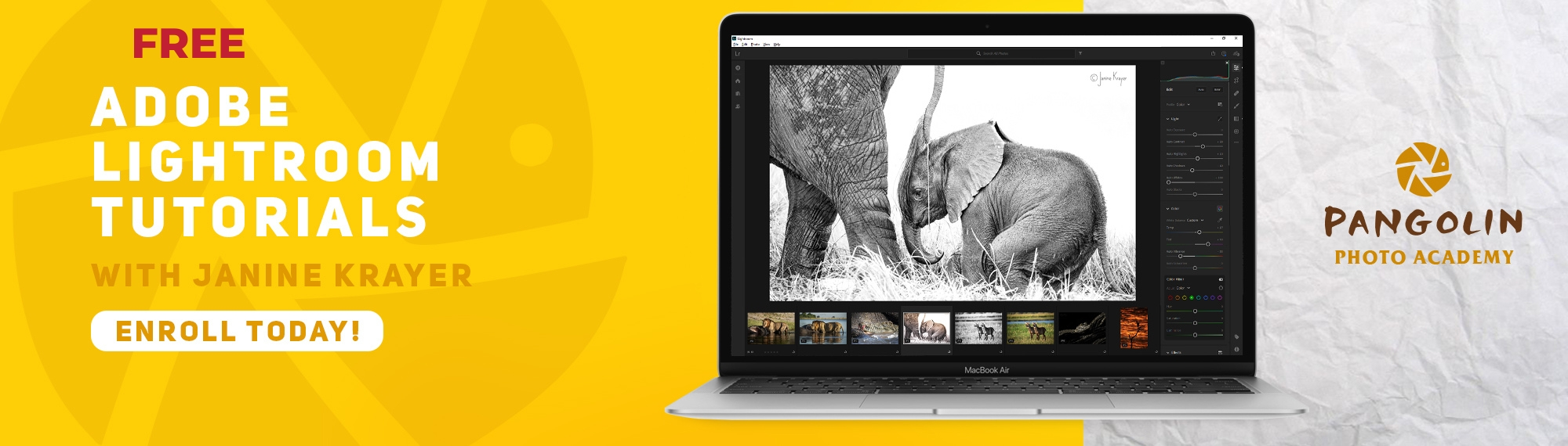 lightroom tutorials by janine krayer and pangolin photo safaris