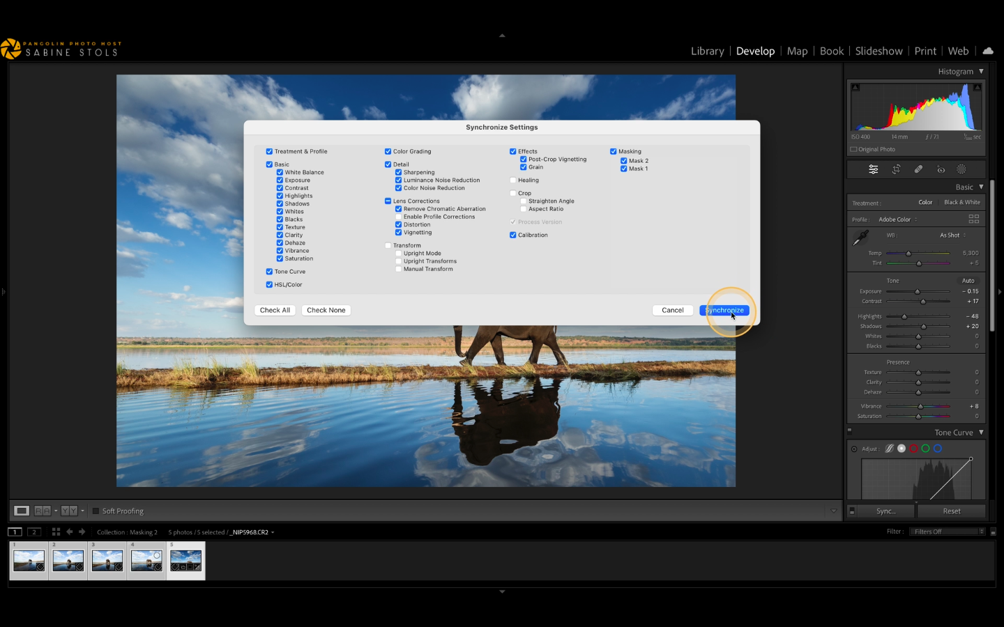 Lightroom Syncing