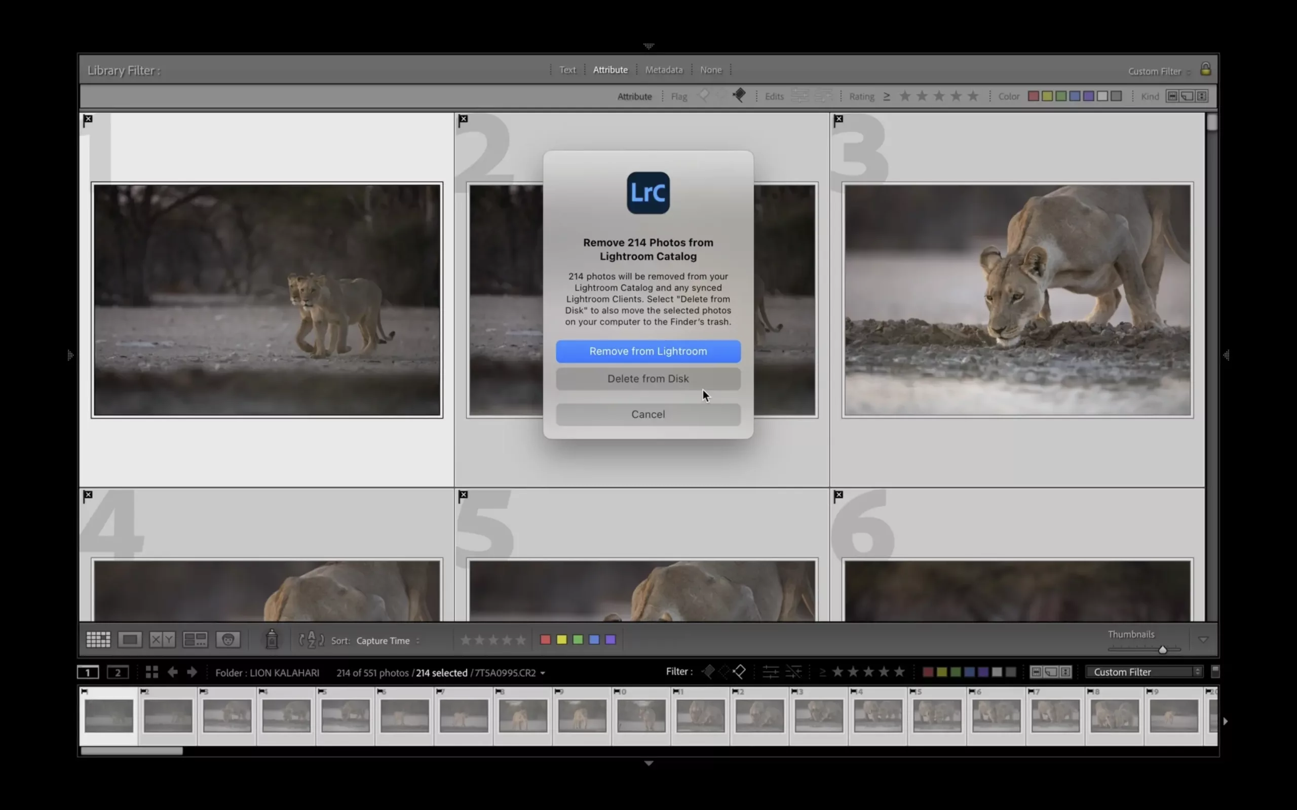 william steel deleting from lightroom william steel deleting photos from lightroom software