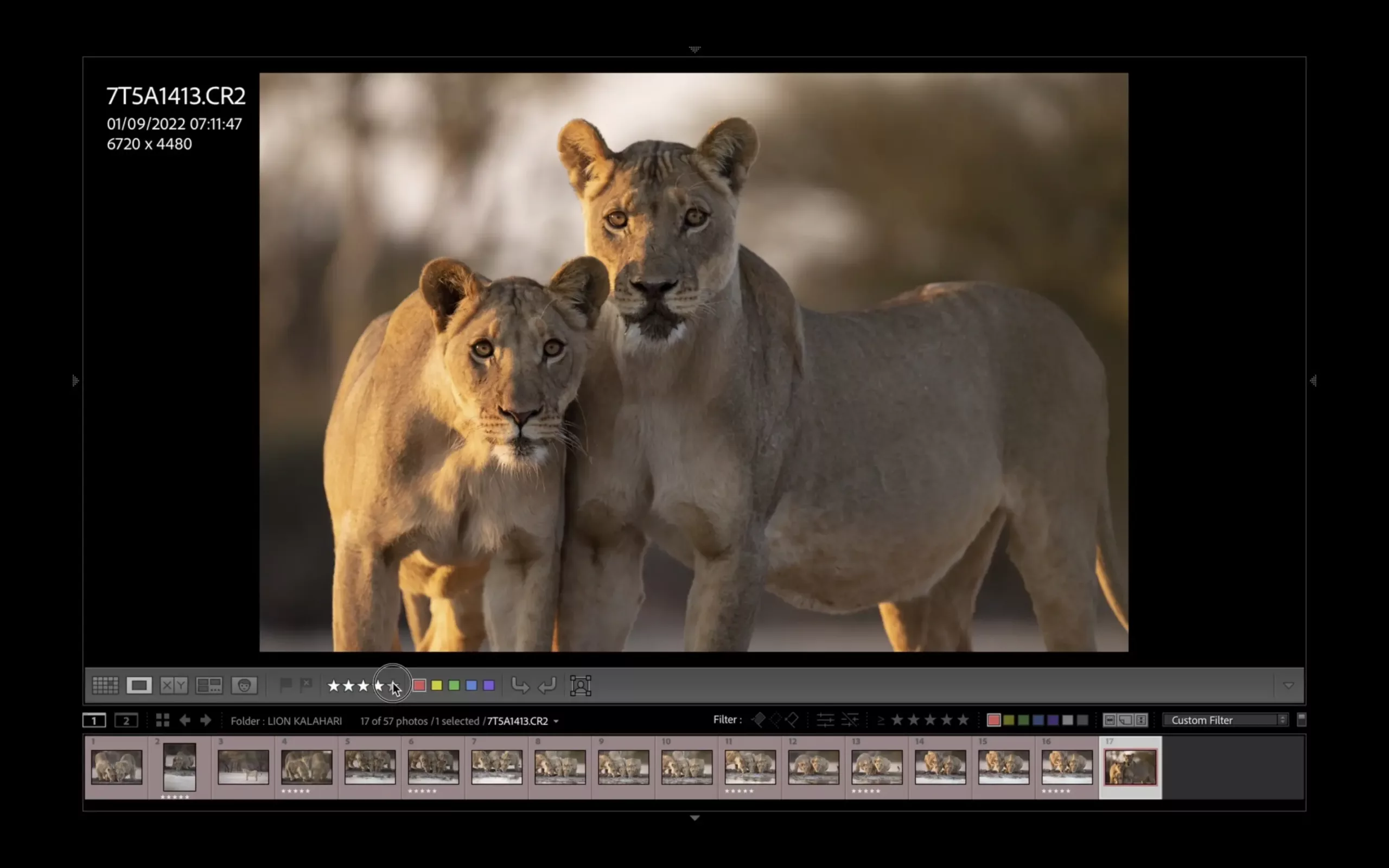 william steel finding favourite image in lightroom william steel finding favourite image in lightroom software - culling
