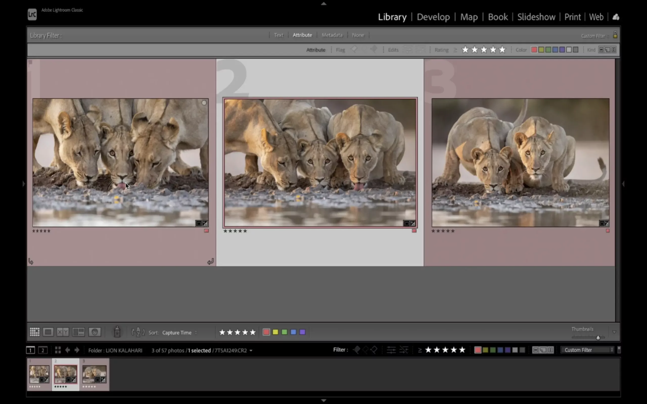 william steel lightroom software images - culling photos tutorial