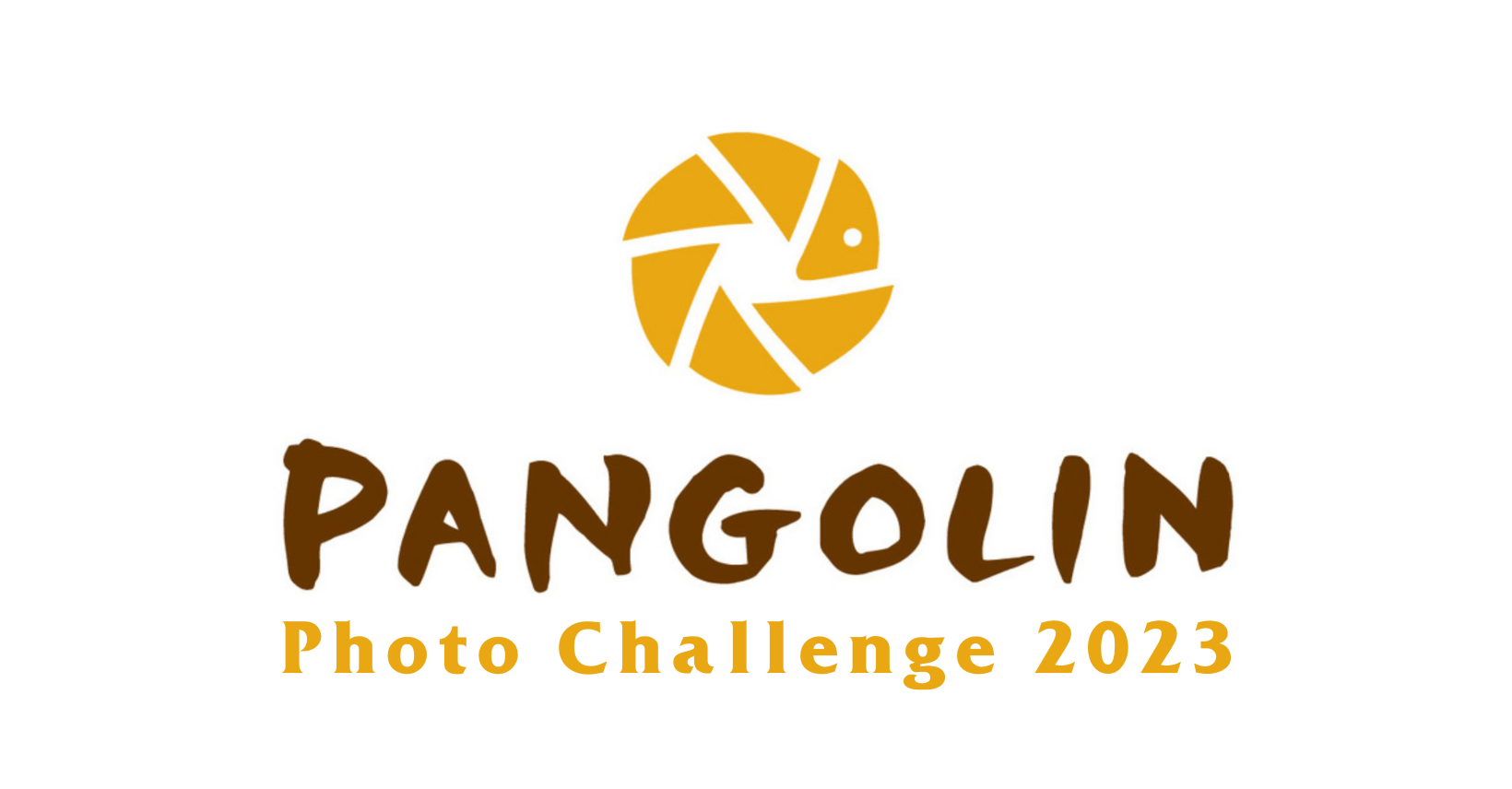 Win a Photo Safari in the Pangolin Photo Challenge 2024