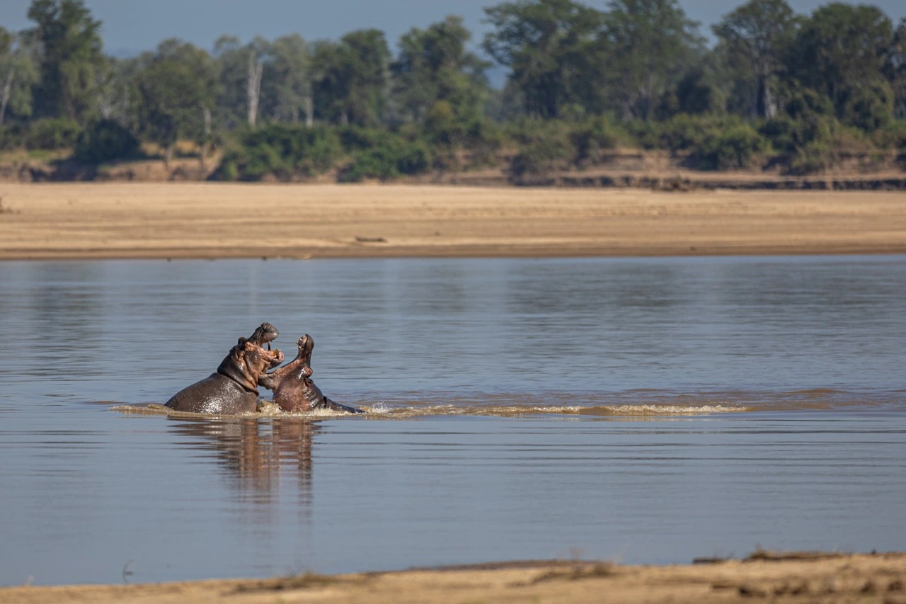 Luangwa Valley | South Luangwa National Park
