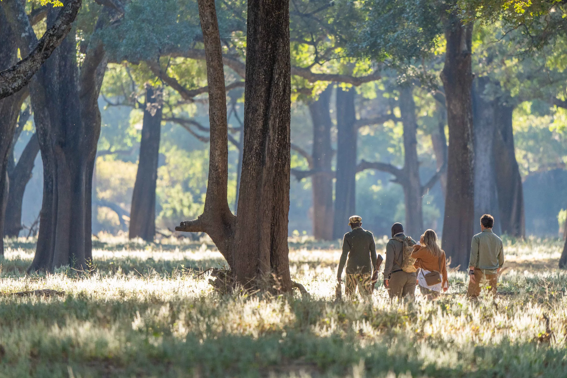 south luangwa walking safaris South Luangwa National Park | Walking Safaris