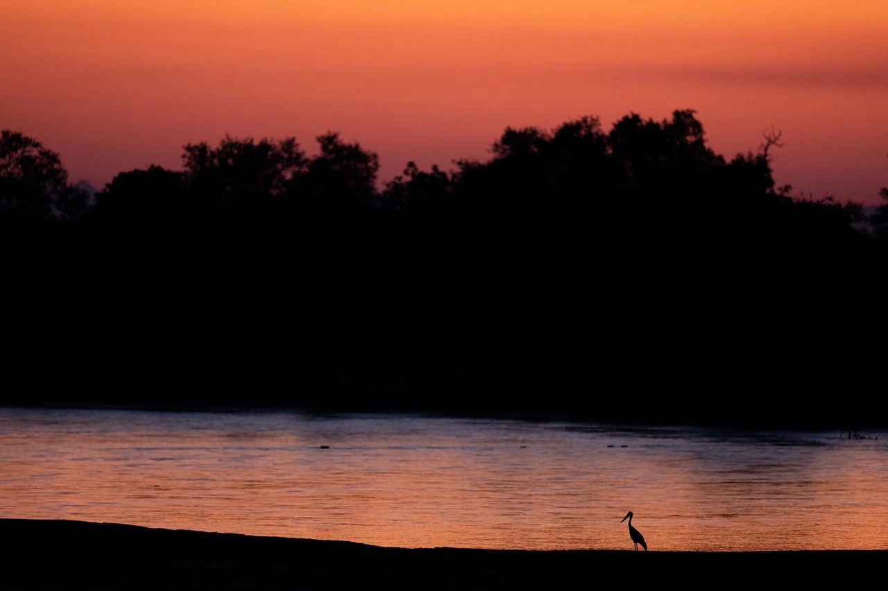 South Luangwa National Park | South Luangwa | National Park