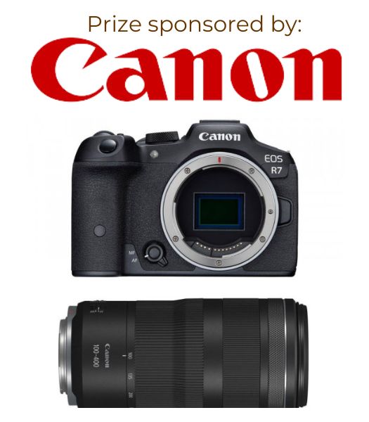 Canon R7 body and lens