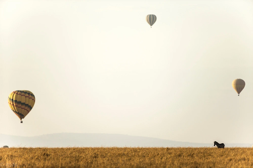 Hot Air Balloon Safari in Masai Mara Reserve