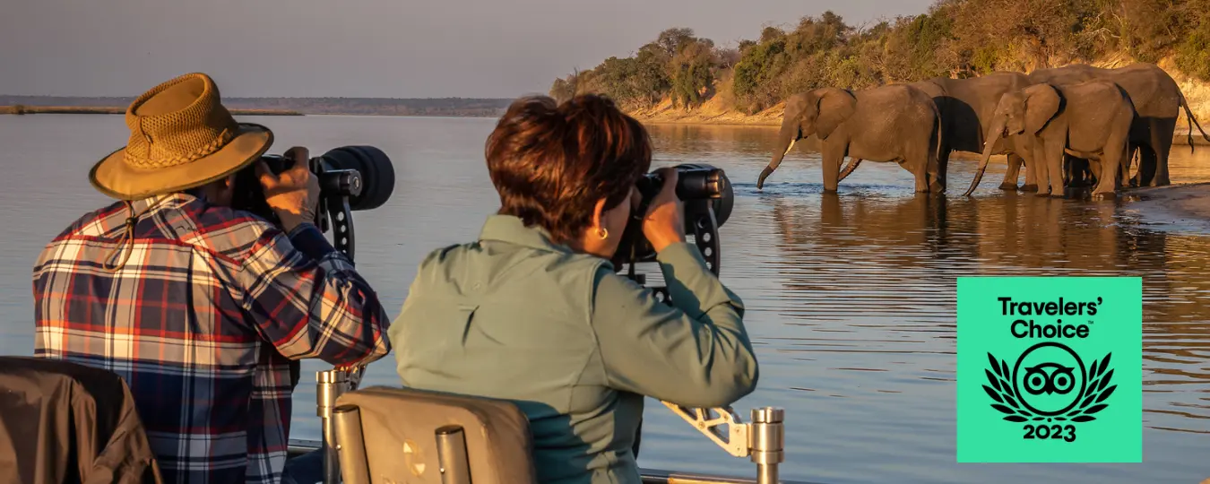 Pangolin Photo safaris Guests in action