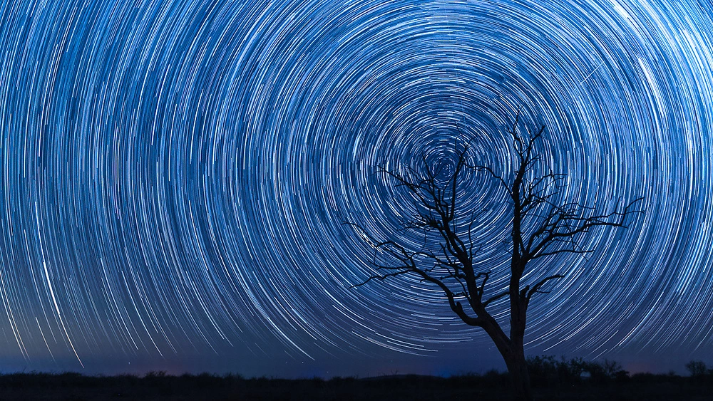 Star Trails of Madikwe © Danielle Carstens