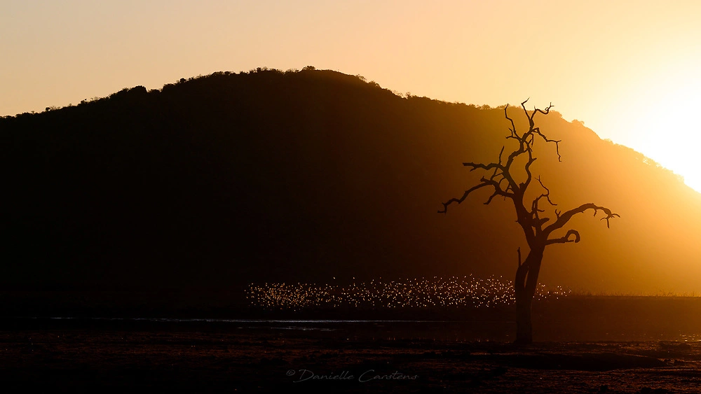 The unique landscapes of Madikwe Game Reserve © Danielle Carstens