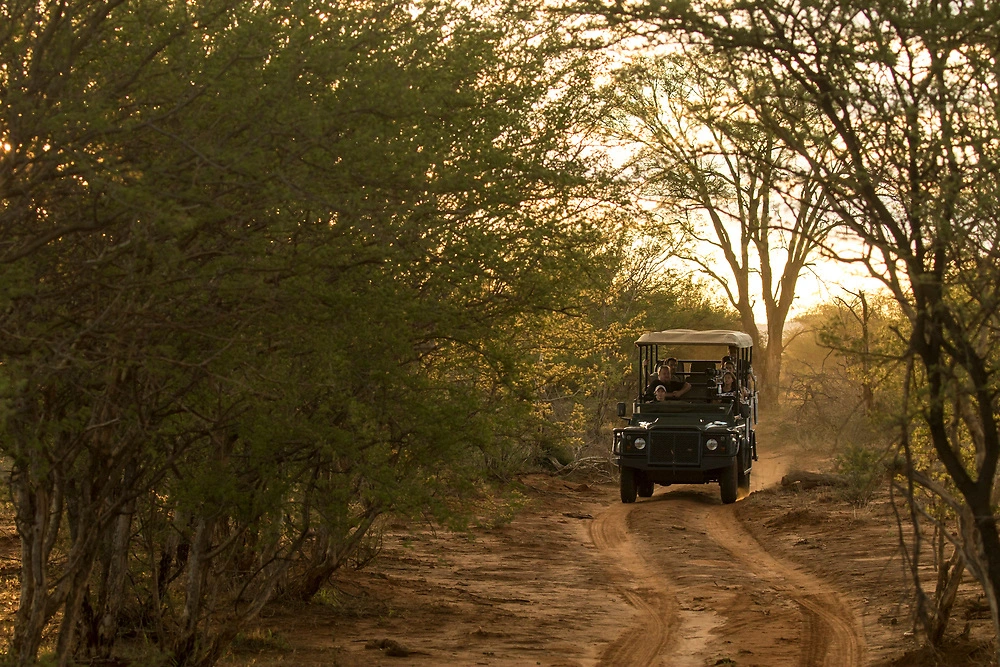 An evening game drive in the Madikwe Game Reserve