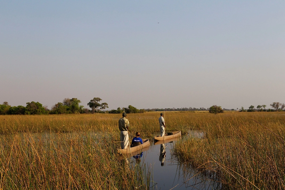 Mokoro trip in the Okavango Delta Mokoro trip through crystal clear channels