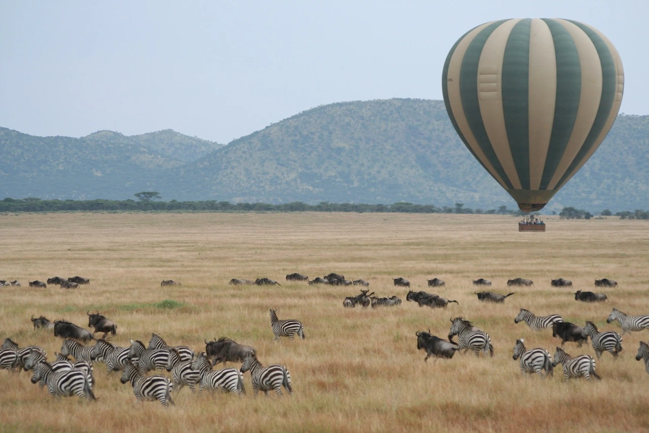 Fantastic wildlife sightings from a hot air balloon