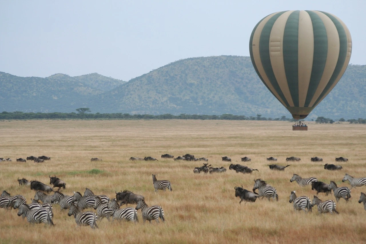 serengeti ballooning flying over herds Fantastic wildlife sightings from a hot air balloon