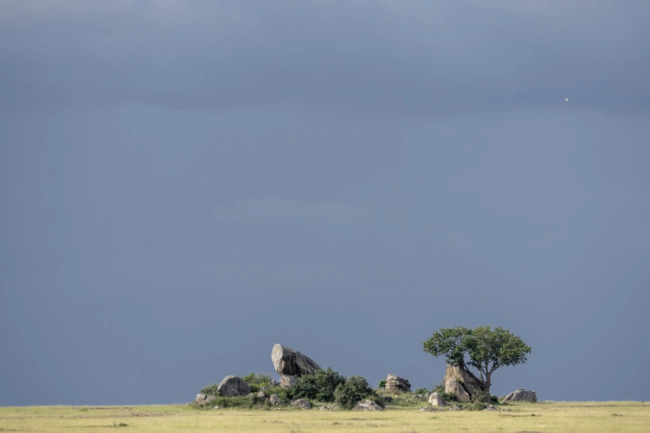 Serengeti Plain - a popular location for the wildebeest migration