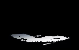 william steel white rhino reflection william steel white rhino reflection