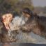 hippotamus photography chobe national park