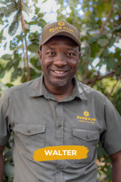 Walter Bio