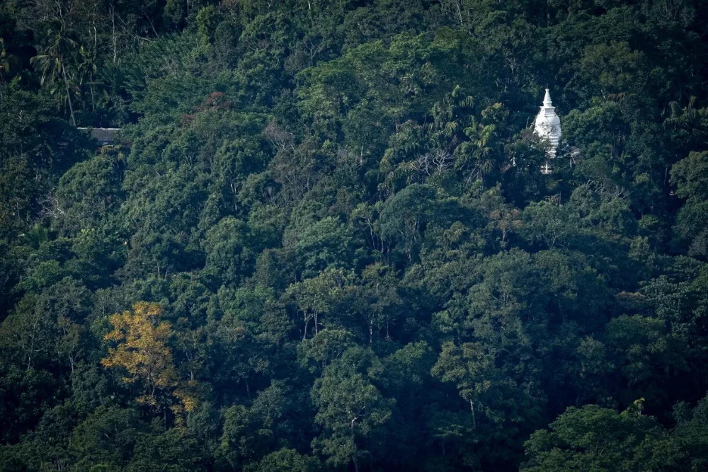 Stupa in the landscape