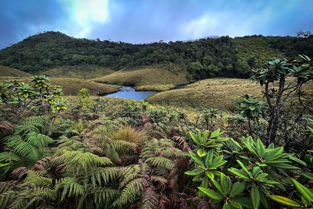 Horton Plain National Park