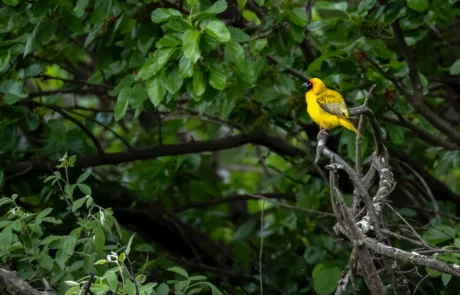 janine krayer wildlife photography 15 large janine krayer wildlife photography 15 large
