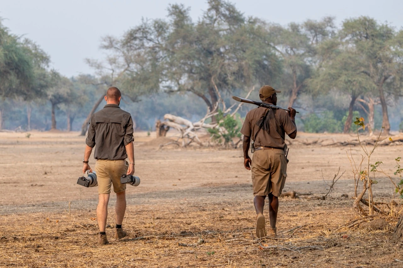 The reason the region attracts so many wildlife photographers is because of walking safaris